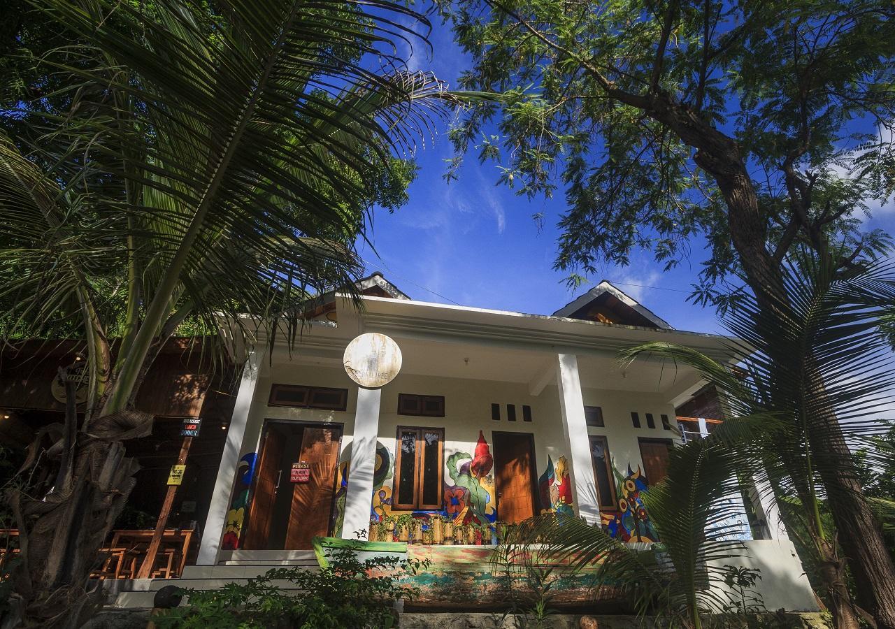 Albergue Dorme Tree Labuan Bajo Exterior foto